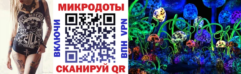 Галлюциногенные грибы мухоморы  Новозыбков 